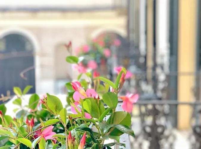 Bue Nero Pensjonat Werona