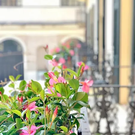 Bue Nero Pensionat Verona